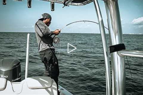 Ohh NOOO, A Fights OUT   ||  Fly Fishing Reefs in  Destin, fl ||