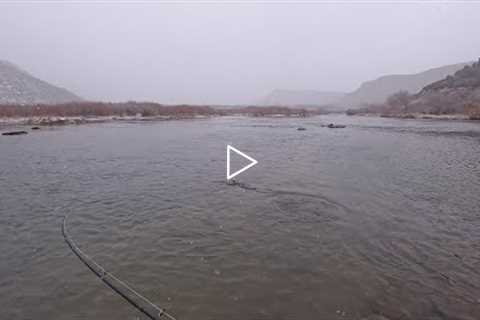 Winter storm BRINGS OUT the BIG TROUT.  **Winter Tactics explained**