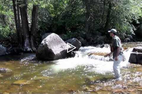 How to Fly Fish Colorado's Freestone Streams