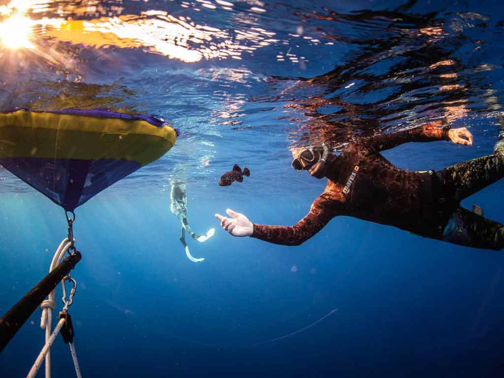 Spearfishing in Hawaii: A Beginner’s Guide