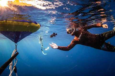 Spearfishing in Hawaii: A Beginner’s Guide