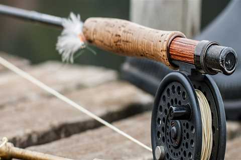 What fly fishing rod to buy?