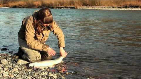 Fishing with Rod: Fishing bloopers from 2011