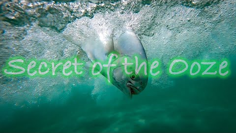 Secret of the Ooze | Can a 8 weight Catch Pompano And Redfish | Surf Fly Fishing Pompano & Redfish