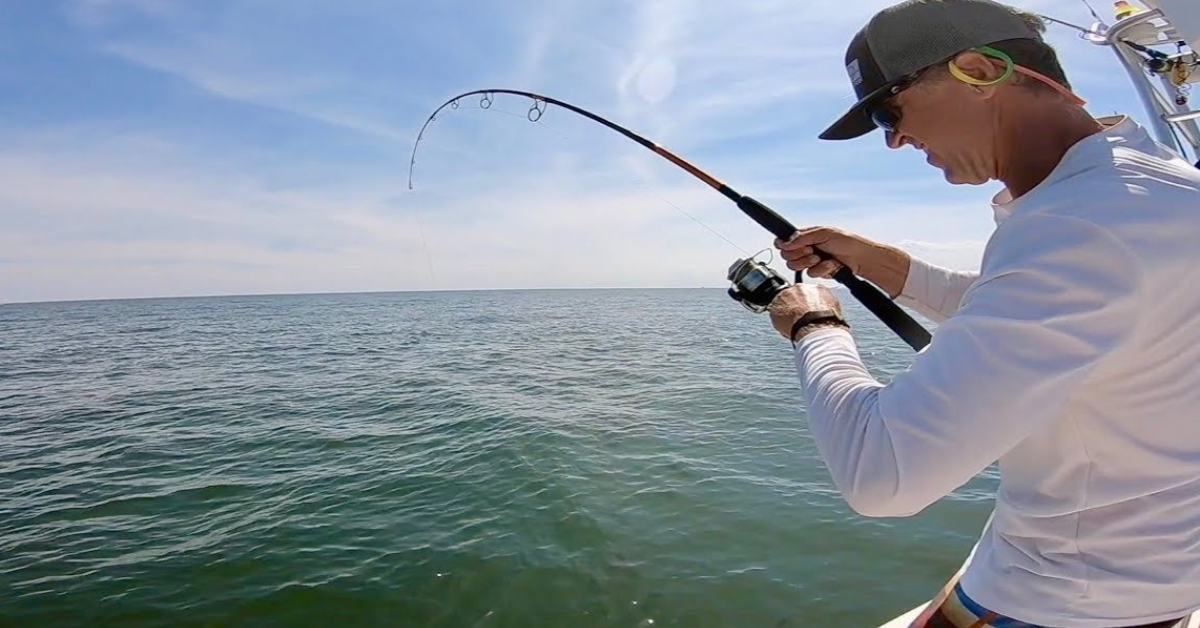 Sight Casting Cobia with Bucktail Jigs