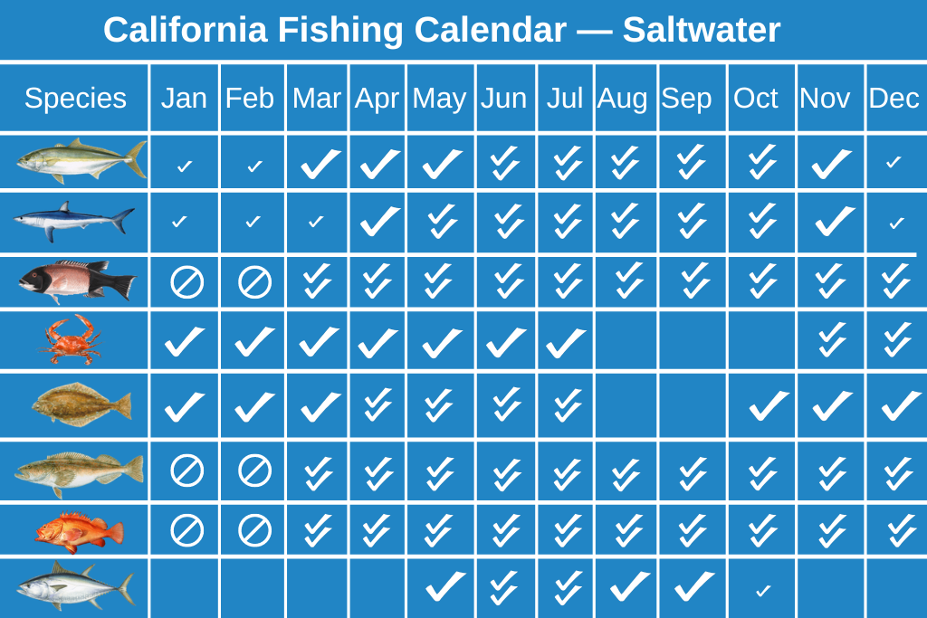 California Fishing Season – All You Need to Know