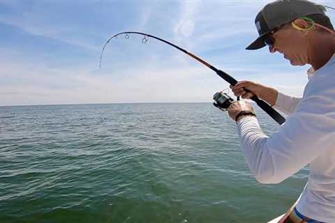 Sight Casting Cobia with Bucktail Jigs