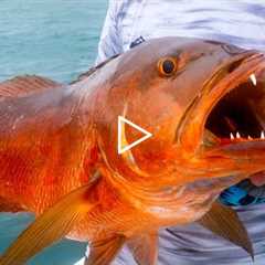 EXTREME Offshore Fishing {CATCH CLEAN COOK} Whole Fried Snapper