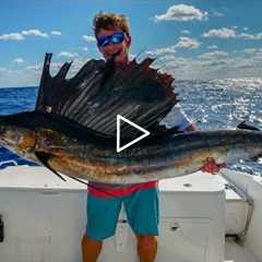 Why NOBODY Eats this FISH- Catch Clean Cook -Sailfish (Kola Fish)