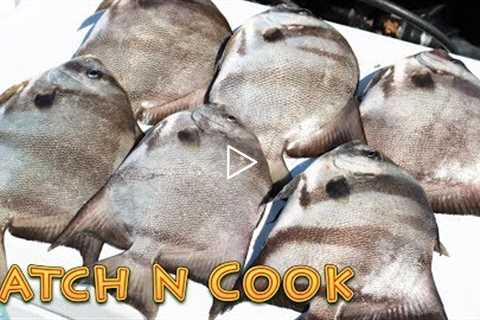 Most Underrated Saltwater Fish?? Catch and Cook Spadefish