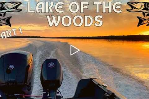 One More Last Cast | Musky & Walleye Fishing on Lake of the Woods | Part 1