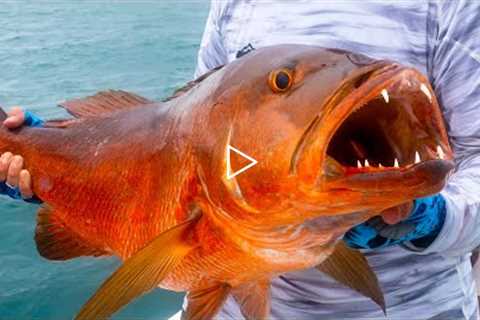 EXTREME Offshore Fishing {CATCH CLEAN COOK} Whole Fried Snapper