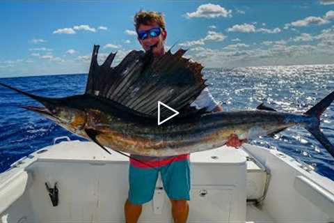 Why NOBODY Eats this FISH- Catch Clean Cook -Sailfish (Kola Fish)