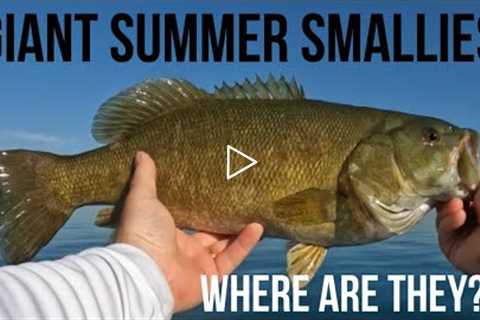 Lake St Clair Smallmouth Bass Fishing On Anchor Bay | Where to find GIANT smallies in late summer