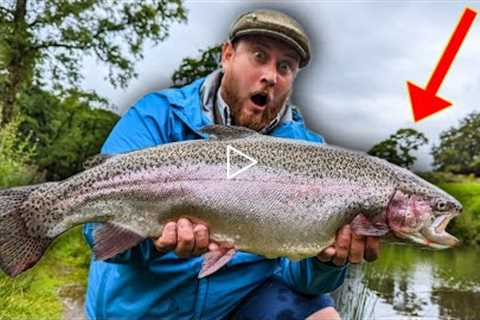 I tried FLY FISHING and THIS was the RESULT!!!