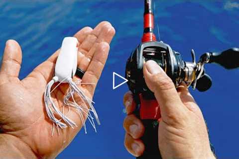 Saltwater Bass Tackle Fishing Challenge