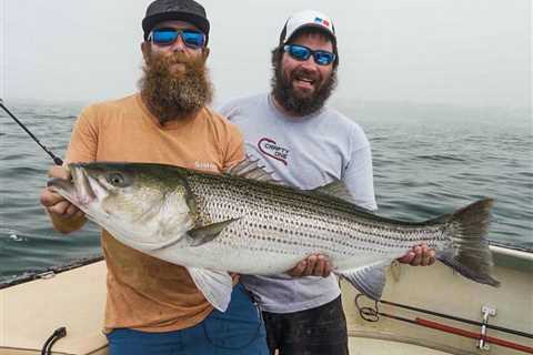 Pro Tips for Late Summer Stripers