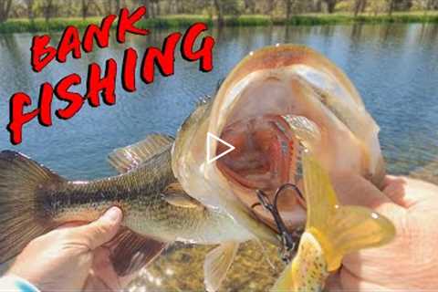 Awesome Bank Fishing With 3 Tips To Catch More Bass While Pond Fishing
