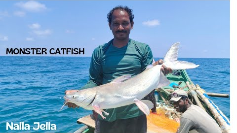 Catching Monster Catfish , Eel Fish , King Fish On Sea 🐬 #mustwatch
