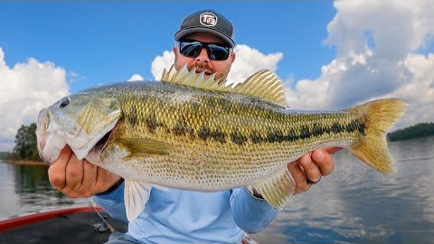 How To Catch Bass Open Water Bass! (When Other's Are Giving Up)