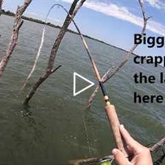 Where to locate and catch the biggest crappie in your local lake right now! Big fish tips!