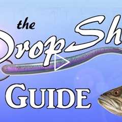 DROPSHOT Guide - The Most Effective Rig in Bass Fishing