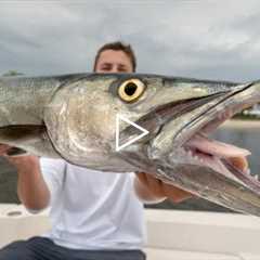 NOBODY Eats this Fish... Catch Clean Cook (Barracuda)