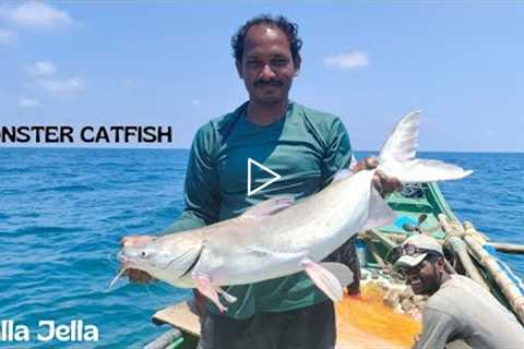 Catching Monster Catfish , Eel Fish , King Fish On Sea 🐬 #mustwatch