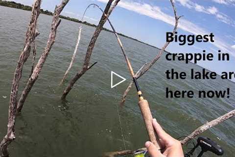 Where to locate and catch the biggest crappie in your local lake right now! Big fish tips!