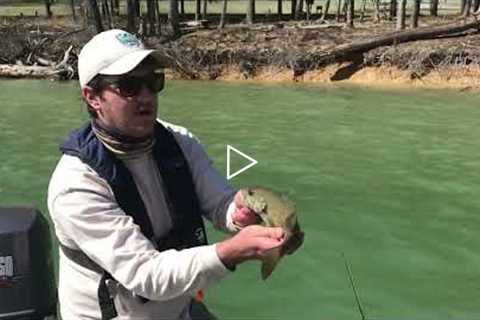 Spring Fishing for Smallmouth Bass at Lake Moomaw