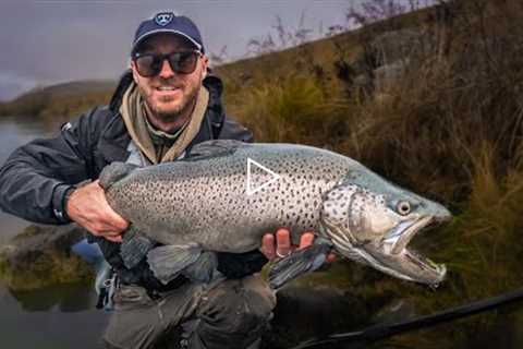 Fly Fishing for the World's BIGGEST Wild Trout!!