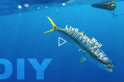 How to make a DIY live well, baitube, bait tank | Mackerel scad, Goggle eyes, and Ballyhoo