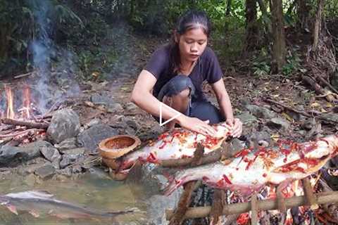 Survival in forest: Catch and cook big fish for food - Big fish grilled spicy chili for dinner