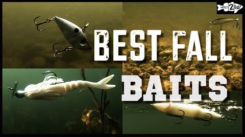 5 BEST BAITFISH BASS LURES for Fall Bass Fishing