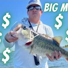Easiest way to win BIG MONEY at a Bass fishing tournament! Lake Fork current report Oct 12, 2022