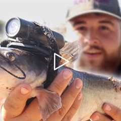 I Strapped a Camera on a Stocked Catfish! (Underwater Footage)