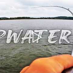 Fishing for Fall Bass with Topwater! (Lake Guntersville)