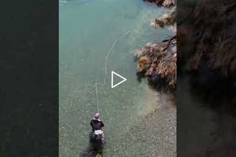 Super easy fly fishing for trout #shorts