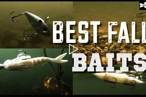 5 BEST BAITFISH BASS LURES for Fall Bass Fishing