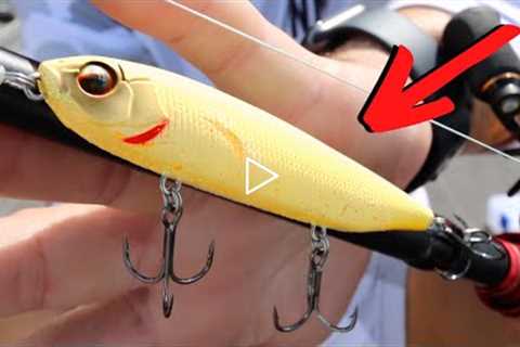 This Exact LURE Changed The Way I FISH