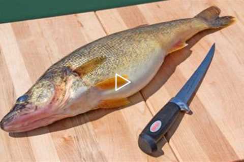 How to Fillet Fish - Freshwater