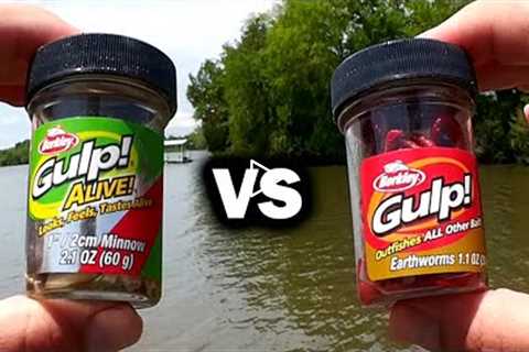 GULP Minnow vs GULP Worm - Beginner Friendly Baits for Bank Fishing!