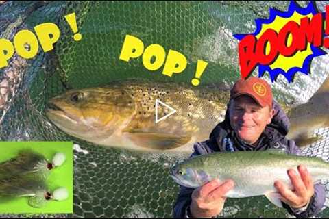 Popper fry Madness ! Explosive Fly fishing for big trout . #flyfishing #fishing #trout