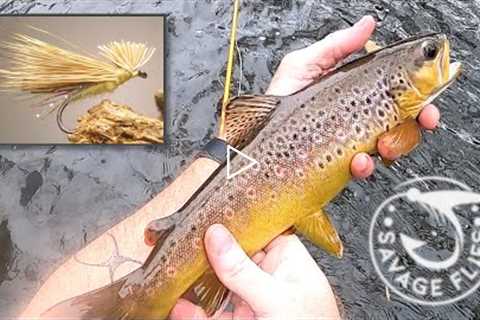 Wild browns on an experimental caddis? (Savage River Fly Fishing)