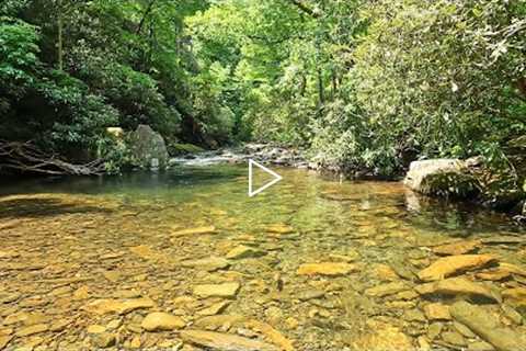 Streams like this make Fly Fishing INCREDIBLY Fun and Addicting!