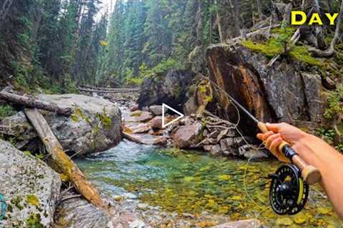 Fly Fishing for a SUPER RARE TROUT! (Threatened Species Pt. 1)