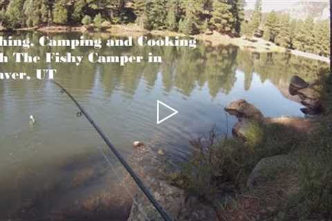 Fishing, Camping and Cooking in Beaver, UT. We got trout! Catch and cook!