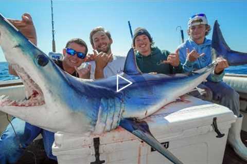 Mako SHARK! Catch Clean Cook (Offshore Fishing New York)