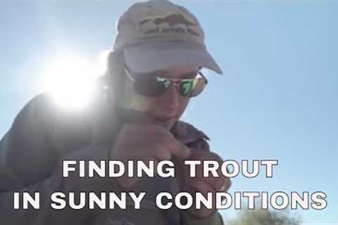 Finding Trout When It Is Sunny