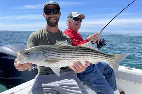 Update: Striped Bass Population Heading in Right Direction